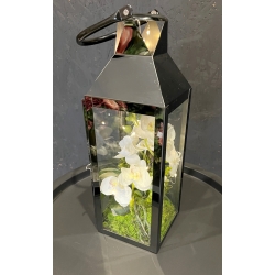 LAMPION latarenka ze storczykami i lampkami LED